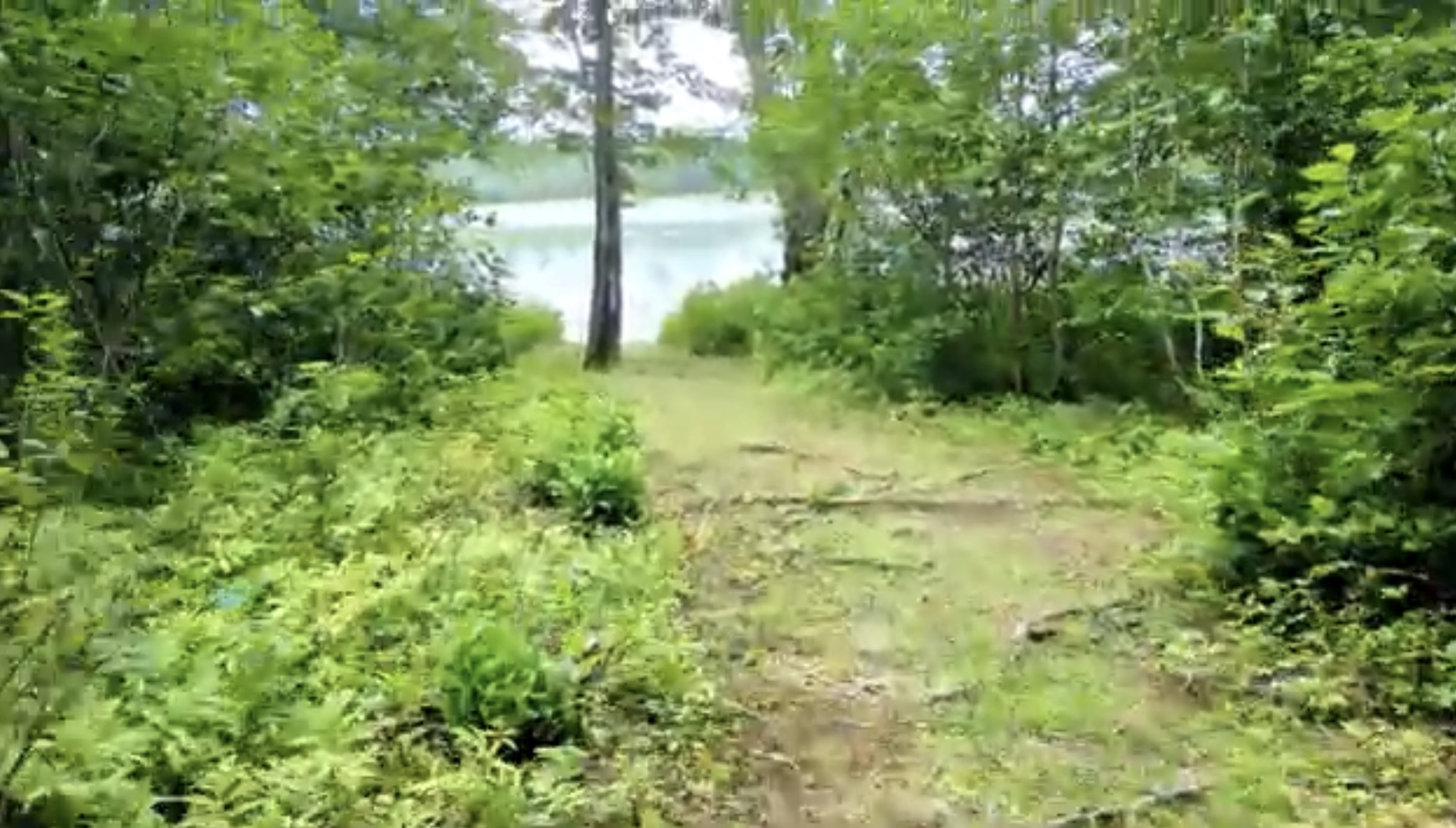 Trail to lake